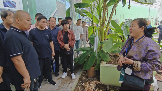 【锚定现代化 改革再深化】敖汉旗6